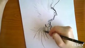 Как нарисовать феникса карандашом поэтапно