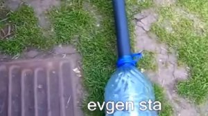 Вызревание ВИНОГРАДА в средней полосе. КАК УСКОРИТЬ