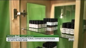 Essential oil production to make an impact in Rwanda