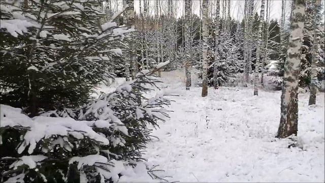 Скоро-скоро Рождество! 1-й Адвент