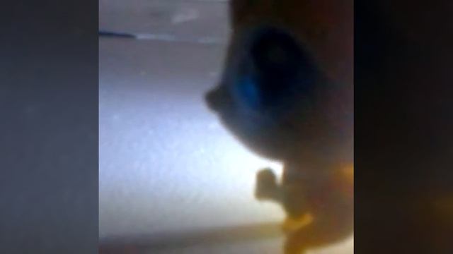 Сап двач смотреть онлайн