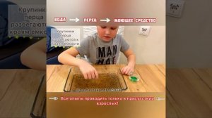 Детские эксперименты / Опыты с детьми / ПОЗНАВАТЕЛЬНЫЙ ЭКСПЕРИМЕНТ