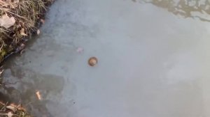 Погода в Иваново