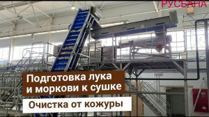 Линия подготовки лука и корнеплодов к сушке от компании Bigtem