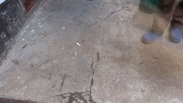 3 Полезные Идеи из Пластиковых Канистр! Не выбрасывай пластиковые канистры!!! смотреть онлайн