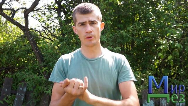 Столовая (тараканы) - сложный объект смотреть онлайн