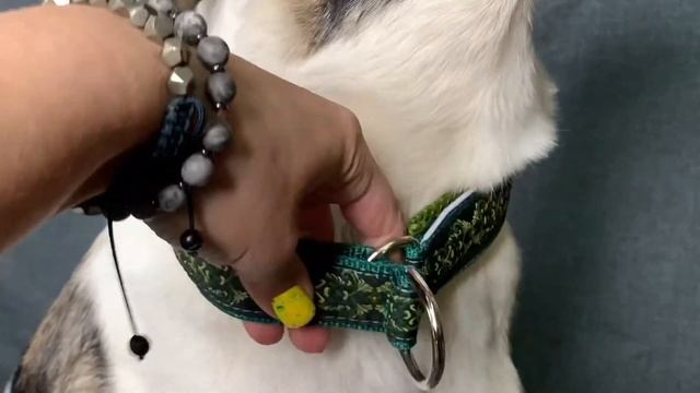 Что такое мартингейл? смотреть онлайн