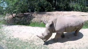 День 2. Сафари Парк, остров Фукуок