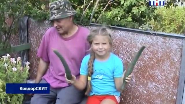 Дачная удача смотреть онлайн