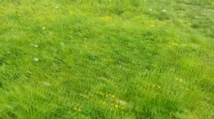 8 ценных советов Ванги, как привлечь в дом благополучие