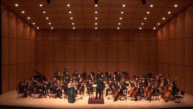 A.Dvorak Violin Concerto 1st Mov.