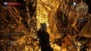 ?СЕКРЕТНОЕ ОРУЖИЕ в БЕЛОМ САДУ ВЕДЬМАК 3| Меч Школы Змеи и секретный клинок из Золотого Города