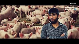 Вся правда о СВИНИНЕ. Что скрывает ИСЛАМ и ИУДАИЗМ? [РОДИНА]