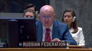 Main statement by Amb.Vassily Nebenzia at UNSC briefing on the situation of human rights in the DPRK