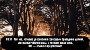 Коран 🎥сура 85. Хусейн Мержоев