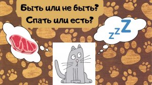 О чём думают кошки?