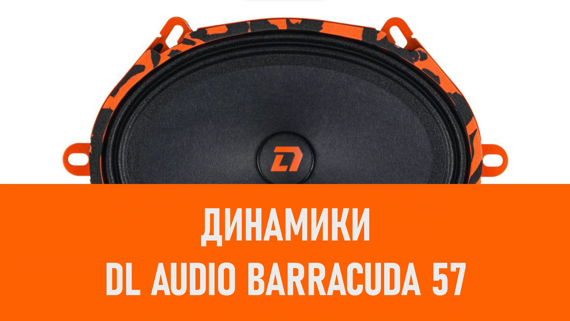 Распаковка динамиков DL Audio Barracuda 57