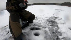 Зимняя рыбалка на безнасадку-безмотылку гвоздешарик. Ловим окуня.