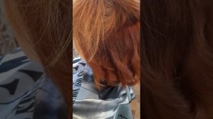 Быстрая укладка на волосы средней длины