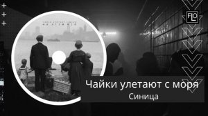 Чайки улетают с моря - Синица