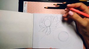 Как рисовать пионы СКЕТЧИНГ видеоурок пионы графика+акварель