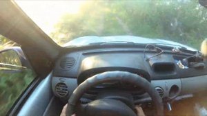 Карп, карась Варегово