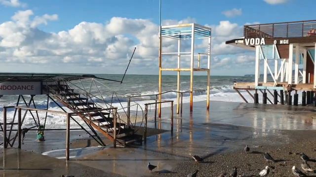 Поздравление от Ольги! С наступающим! ТЦ Бирюза. Пляж Морская звезда. Море штормит. 28 декабря 2023