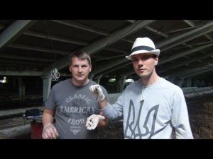 Технология разведения червей на ферме VERMI. KIEV. Агро-Тур по Украине
