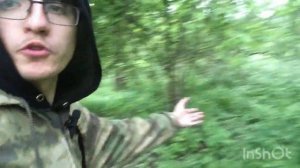 Изучаем травы на болоте!