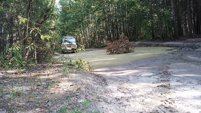 прост