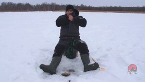 Ловля окуня