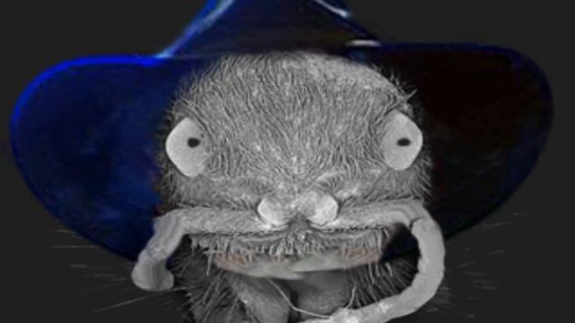 Боярский-блоха смотреть онлайн