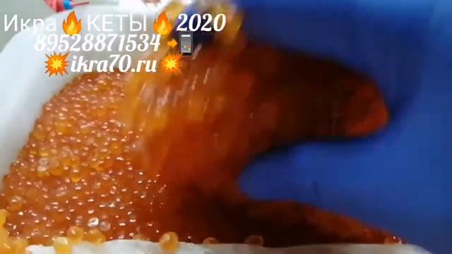 Икра Красная в Томске!Северске! ИКРА🔥КЕТЫ🔥!2020👍!КАМЧАТКА👌!НЕРКА,КИЖУЧ, КЕТА,🐟 СЕМГА! ikra70.ru