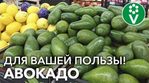 ЗАМОРСКИЙ ФРУКТ ОТ СЕМИ НЕДУГ! Чем полезно АВОКАДО и как его лучше употреблять