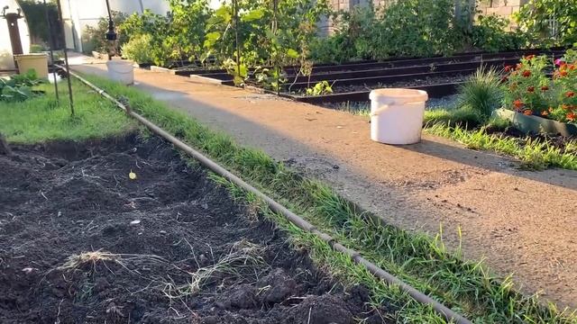 Как посадить газон, чтобы не мучаться потом со стрижкой? смотреть онлайн