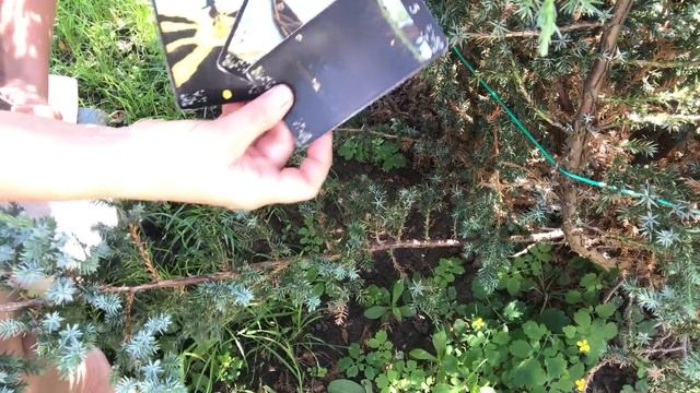 Она Вычеркнула Вас из Жизни или …….❤️⁉️Таро для мужчин