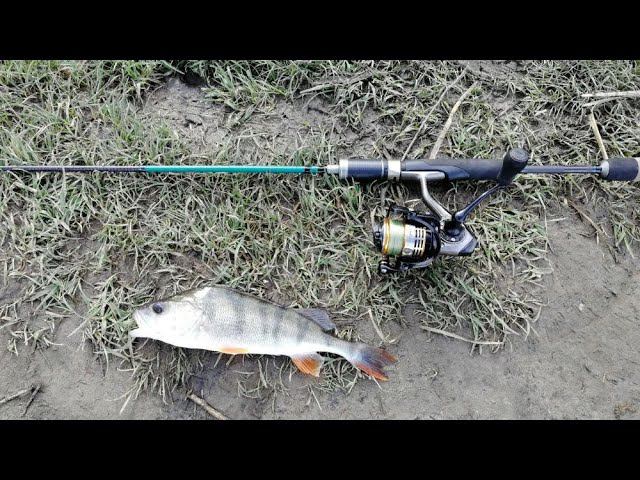 Окунь на ультралайт, классная рыбалка! Озеро Андреевское. #NIK_72 смотреть онлайн