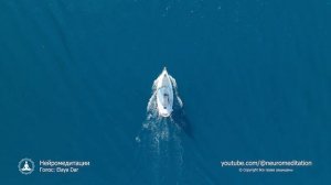 УВЕРЕННОСТЬ В СЕБЕ + ВЫСОКАЯ САМООЦЕНКА | просто слушай Лучший Саблиминал + Мощные Аффирмации