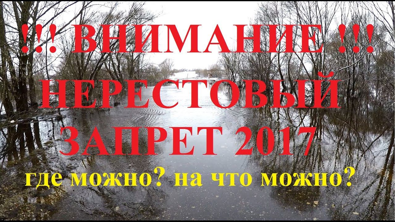 Правила нерестового запрета в слайдах. 2017 г.