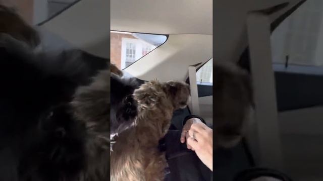 2020 Ford Explorer review on sleeping in back смотреть онлайн