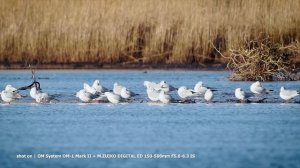 OM System OM-1 Mark II | Adventure Ready Mirrorless | Jessops