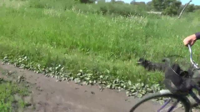№1. Поиск потерянного .