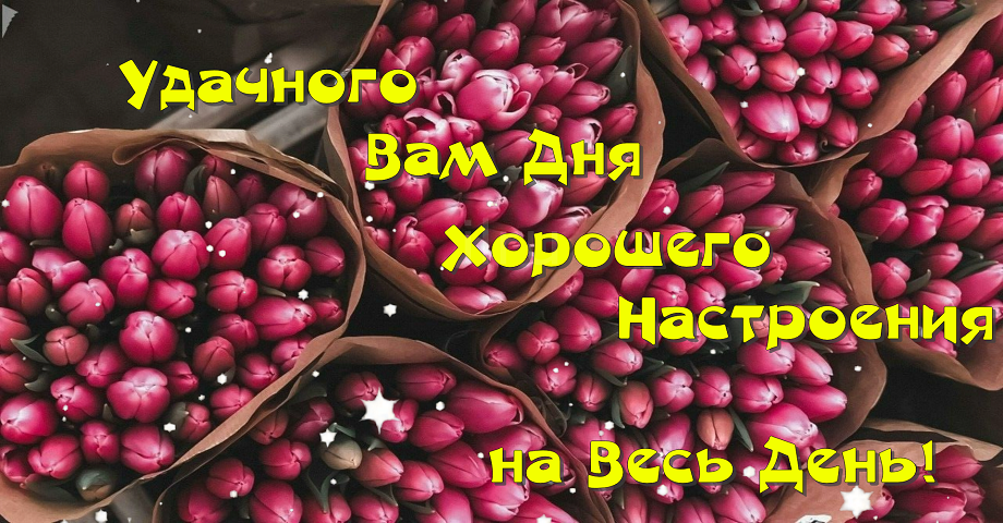 Добрый День! Желаю провести день, улыбаясь!