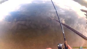 ОКУНЁВЫЙ РАЙ 24 9 2016 озеро Подснежники Смоленск