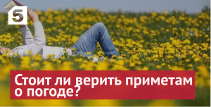 Какие приметы помогают точно предсказывать погоду