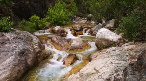 ТОП 20 интересных фактов про Турцию, которых вы не знали