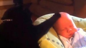 Плачущий ребенок и успокаивающий кот.