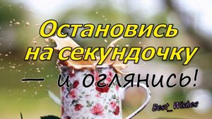 ОТЛИЧНОГО ДНЯ, Позитивная Видео Открытка с Пожеланиями Отличного Хорошего Дня и Отличного Настроени