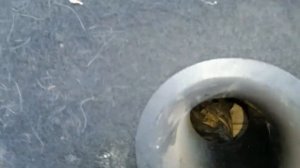 Тест саба Урал ПАТРИОТ 6.5". Часть 2 (Это волк в овечий шкуре?)