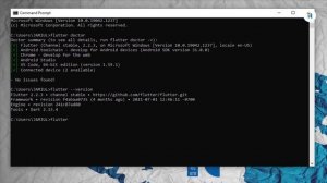 How to Check Flutter issues ! Flutter Doctor --Version --help?